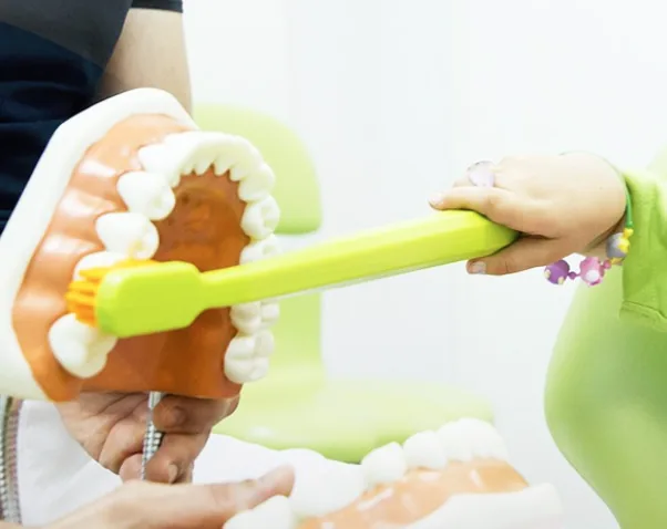 Teaching children's oral hygiene on a dental model