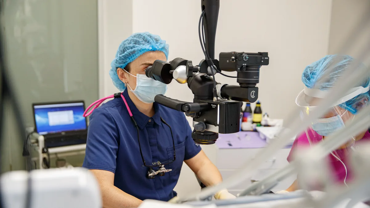 NB Dental-ის ექიმი მიკროსკოპთან, გვერდით კომპოზიტური მასალების ნაკრები
