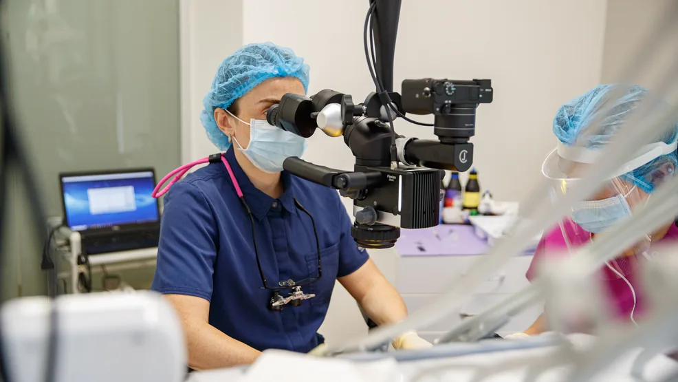 Стоматолог работает с микроскопом в NB Dental